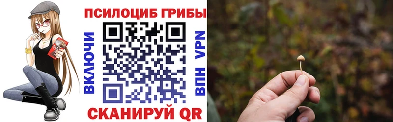 Галлюциногенные грибы мицелий  дарк нет наркотические препараты  Шиханы 